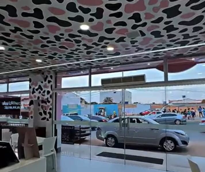 MILK MOO – DF — foto 4