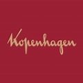 KOPENHAGEN – DF